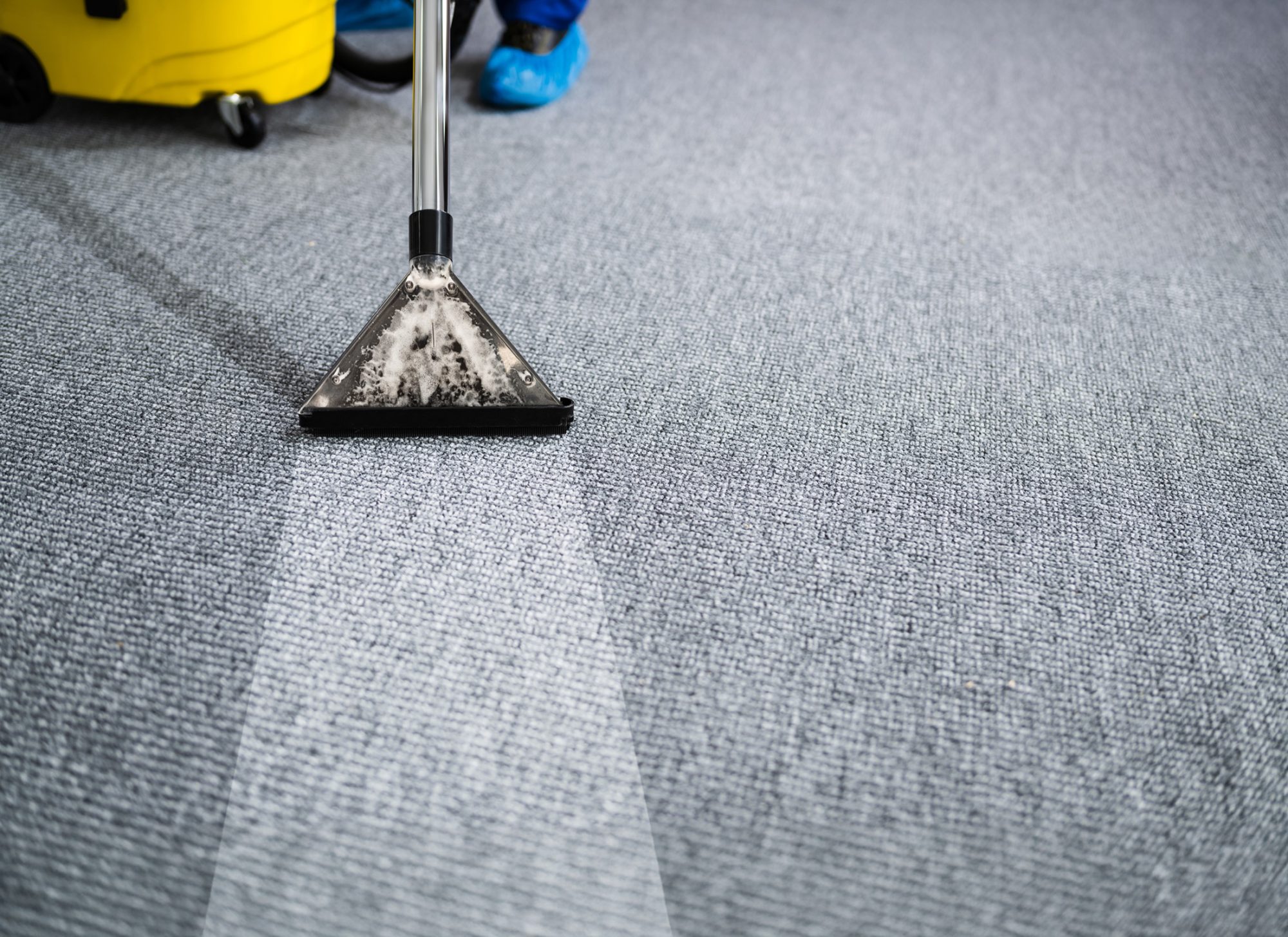 Carpet & Upholstery Cleaning Belfast Lisburn Clean & Dry